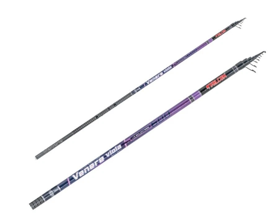Canna Falcon Venere Viola 6 metri
