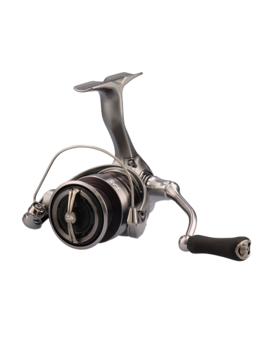 Mulinello Daiwa Exceler LT